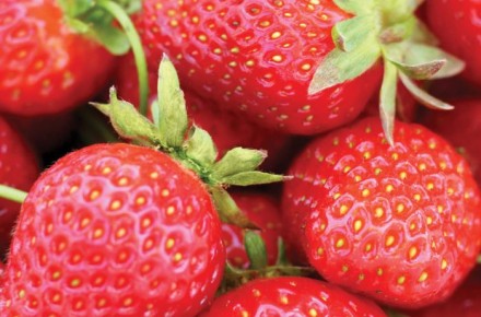 Strawberry