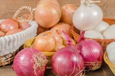 BROWN / RED  Onion