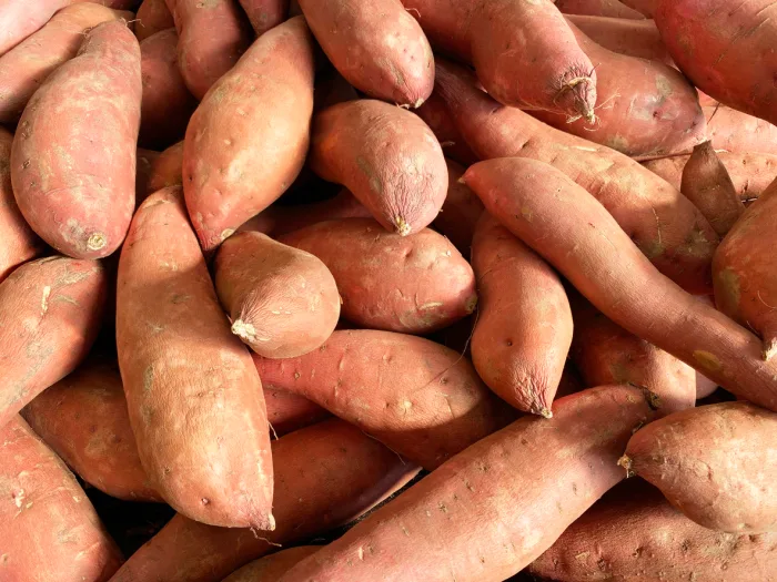 Sweet potato